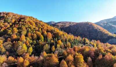 Güzeldere Şelalesi Tabiat Parkı
